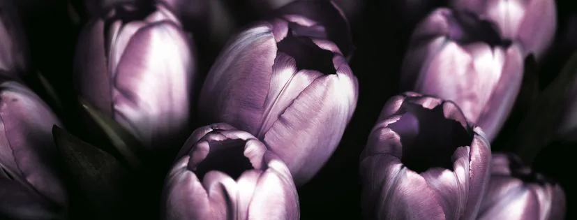 Jaká barva byla zvolena barvou roku 2018?