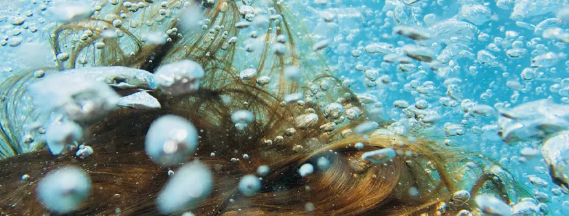 Dokážete si představit, že vaše pleť i vlasy mají žízeň?